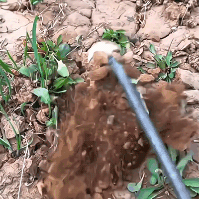 Garden Champion WeedRooter Pro