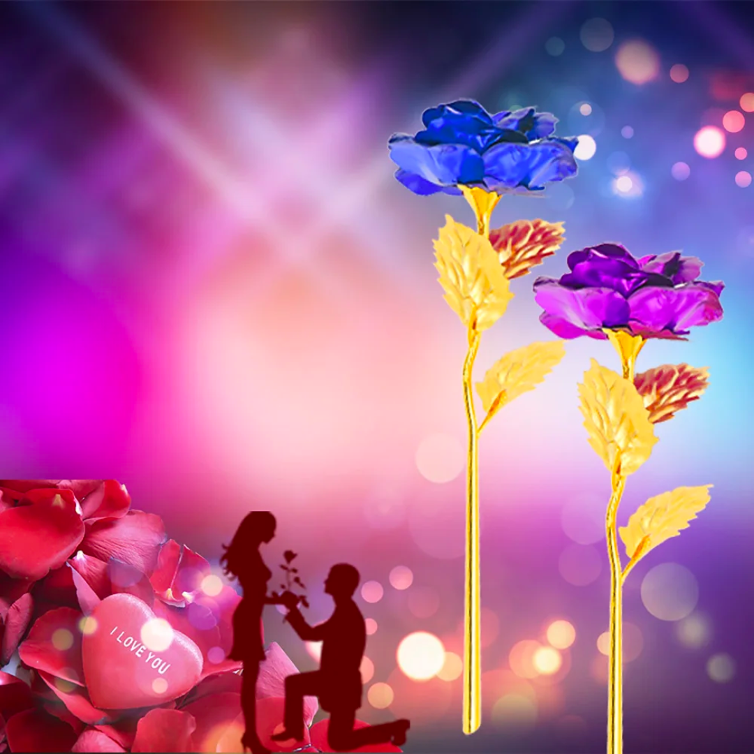 Eternal Spectrum of Love Rose